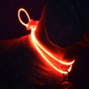 High Quality 1 Pcs Multi-color LED Pet Collar Adjustable Night Safety Pet Collar Luminous Light Up Pet Dog Bright Collar Leash