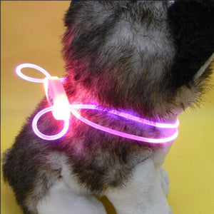 High Quality 1 Pcs Multi-color LED Pet Collar Adjustable Night Safety Pet Collar Luminous Light Up Pet Dog Bright Collar Leash