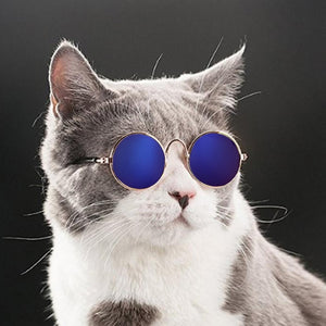 Hoomall Lovely Pet Cat Glasses Dog Glasses Pet Products For Little Dog Cat Eye-wear Dog Sunglasses Photos Pet Supplies