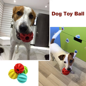 Pet Dog Toys Extra-tough Rubber Ball Toy Funny Interactive Elasticity Ball Dog Chew Toys For Dog Tooth Clean Ball Of Food 30S1