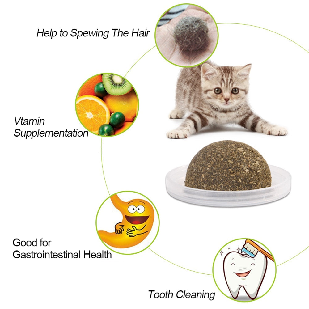 Natural Catnip Toys For Cats Crazy Healthy Cat Toys For Kitten Edible Treating Cleaning Teeth Cat Supplies Pet Toy Pet Products